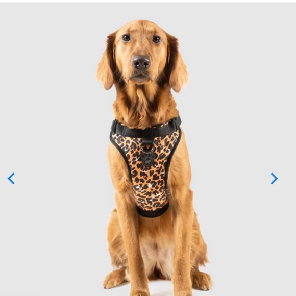 Canada Pooch, The Everything Harness Water-Resistant Series, Size Medium (M) - Picture 3 of 10